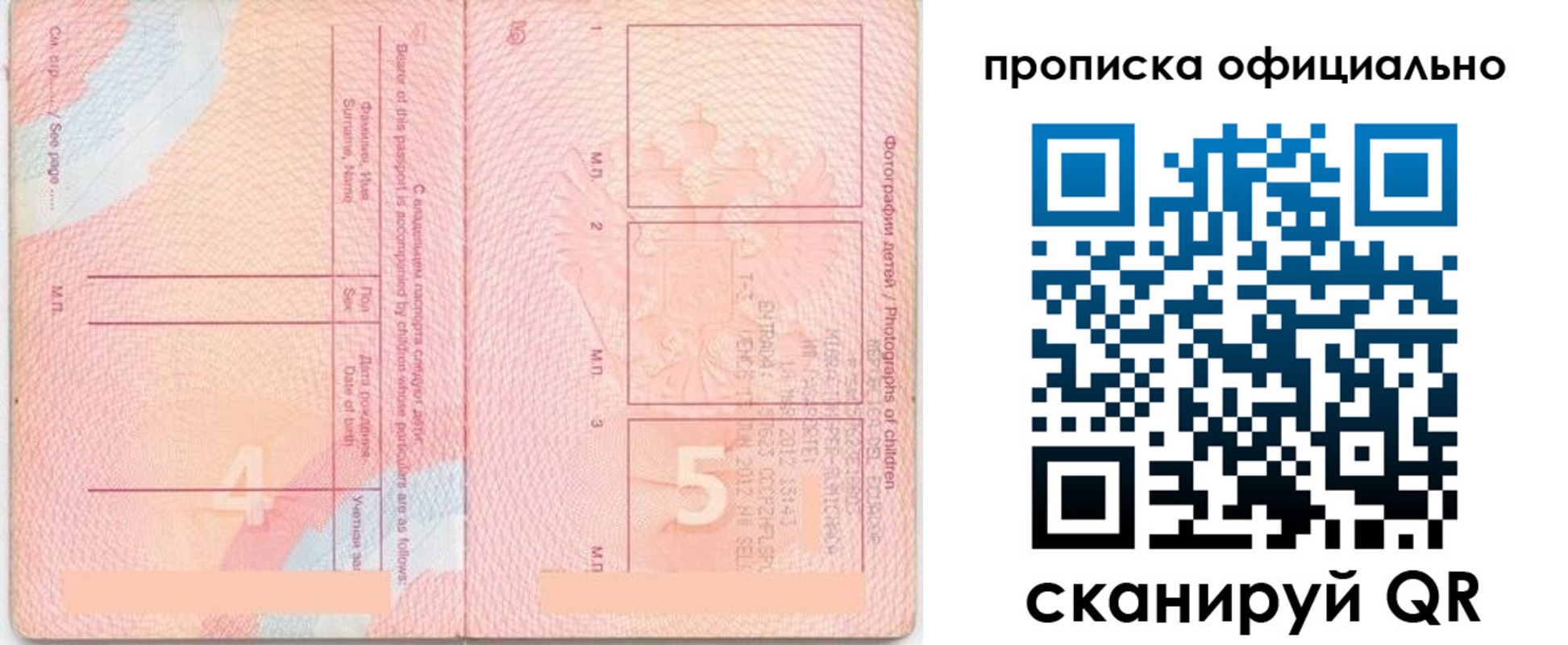 прописка для школы в Хотьково